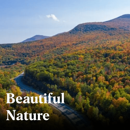 Fall-Foliage-B-768x512 Overlay