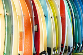 Surf Boards in the hamptons